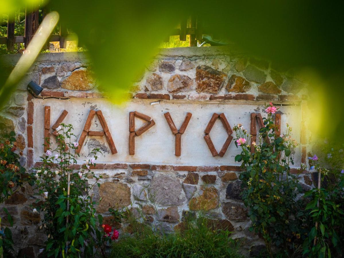 Karyon Apartments Kariófiton エクステリア 写真